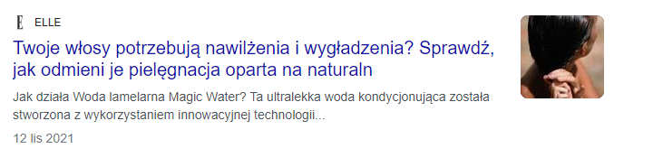 rich snippets artykuł