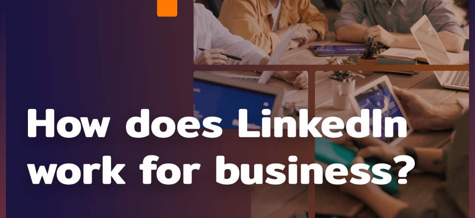 How LinkedIn works – the business importance of the platform