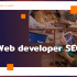 web developer seo PL